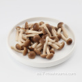 Frezen Fresh Cut Beech Mushroom-200g